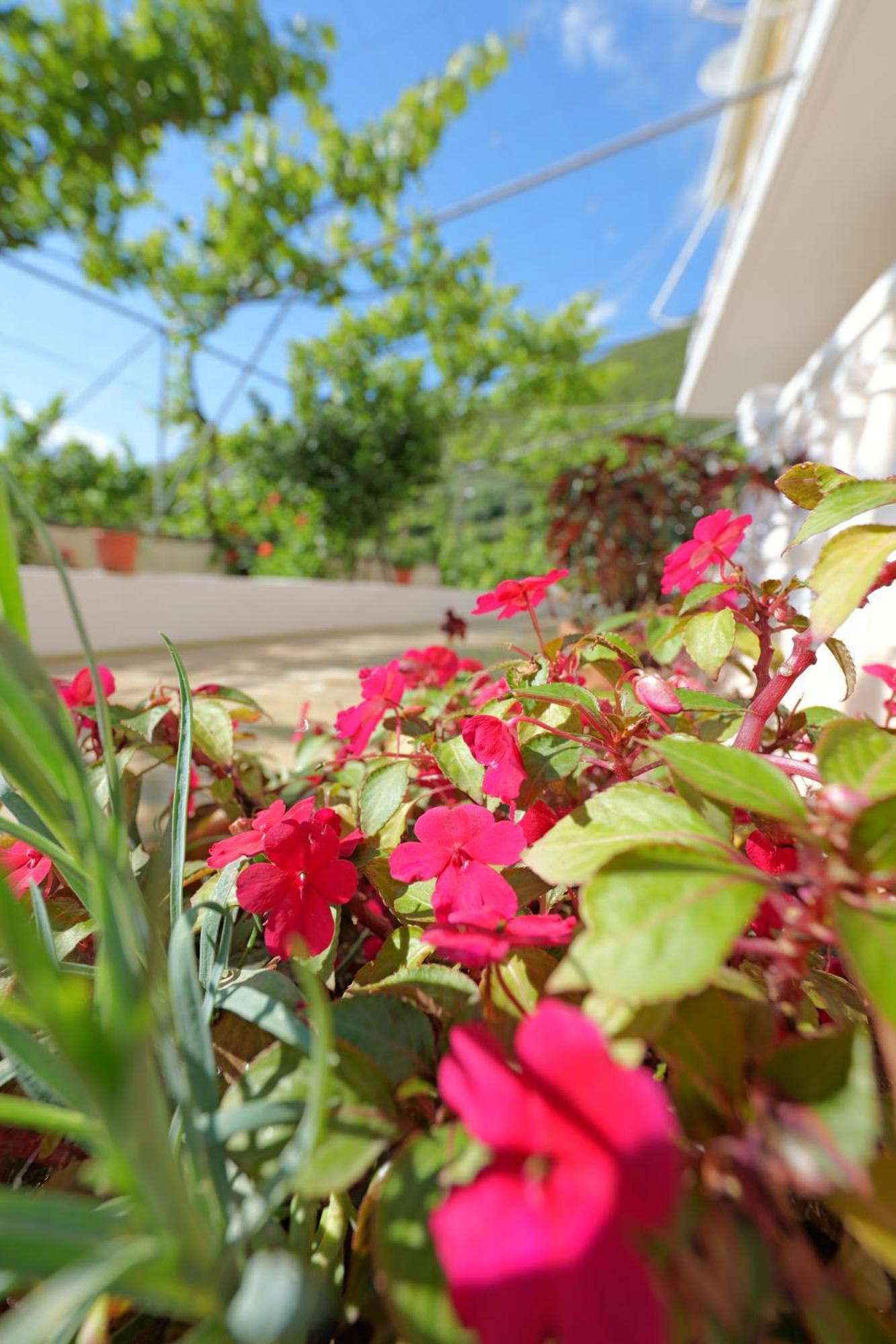 Arthur'S 4Apartments Borsh Esterno foto